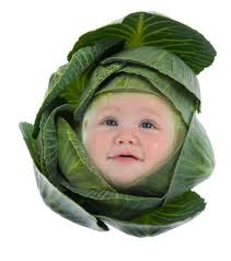 Birth Origins: Cabbage Patch