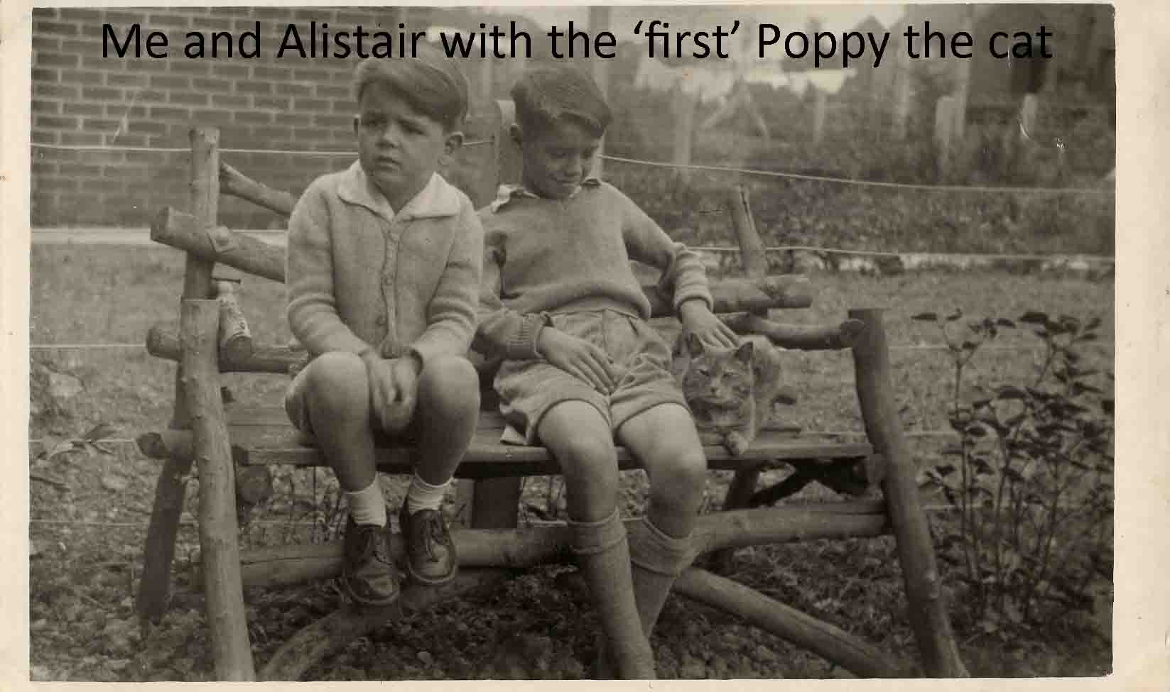 Laughter and nostalgia: Poppy