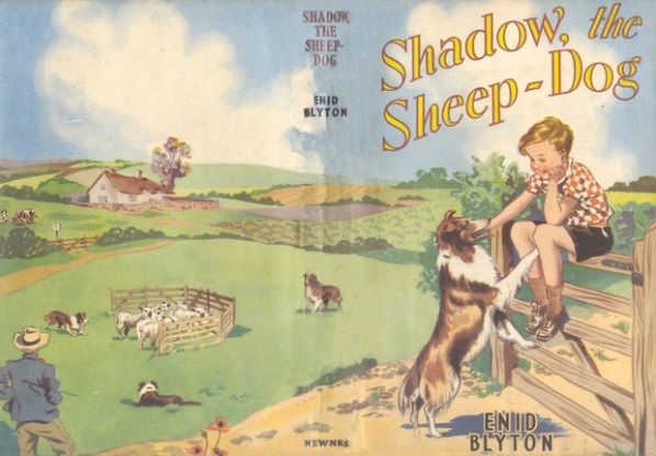 Shadow, the Sheepdog