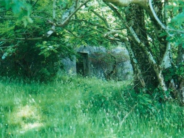 Life Together - Derelict Cottage 1