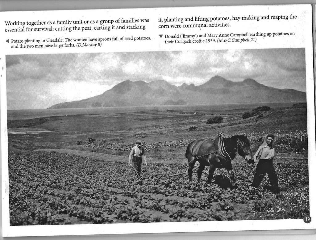 Occupations on Eigg - horse Occupations on Eigg - horse