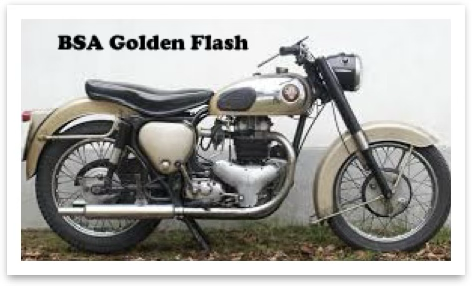 Golden Flash Golden flash